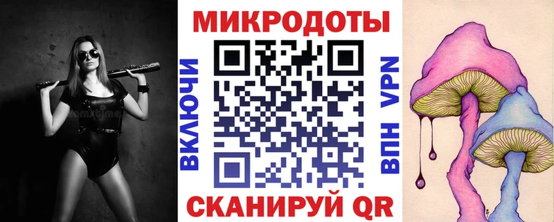купить наркоту  Новомичуринск  Галлюциногенные грибы мицелий 